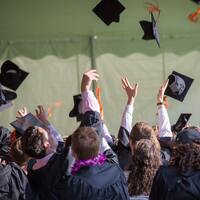 Ambalaj tasarımı bölümü nedir?