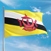 Brunei başkenti, bayrağı, nüfusu