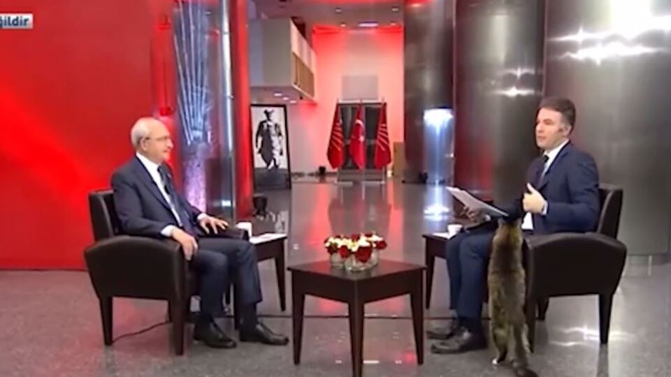 Şero da canlı programa katıldı