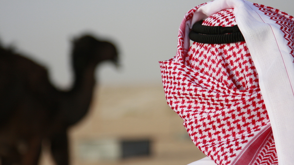 Körfez'den 20 yılda 12.3 milyar dolar geldi