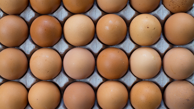 Bakanlık'tan antibiyotikli yumurta iddialarına yanıt