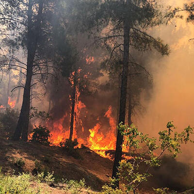 Türkiye'den Yunanistan'a yangın yardımı