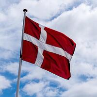 Danimarka'da Kuran-ı Kerim'i yakma provokasyonu