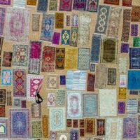 Antalya'nın rengarenk halı tarlası!