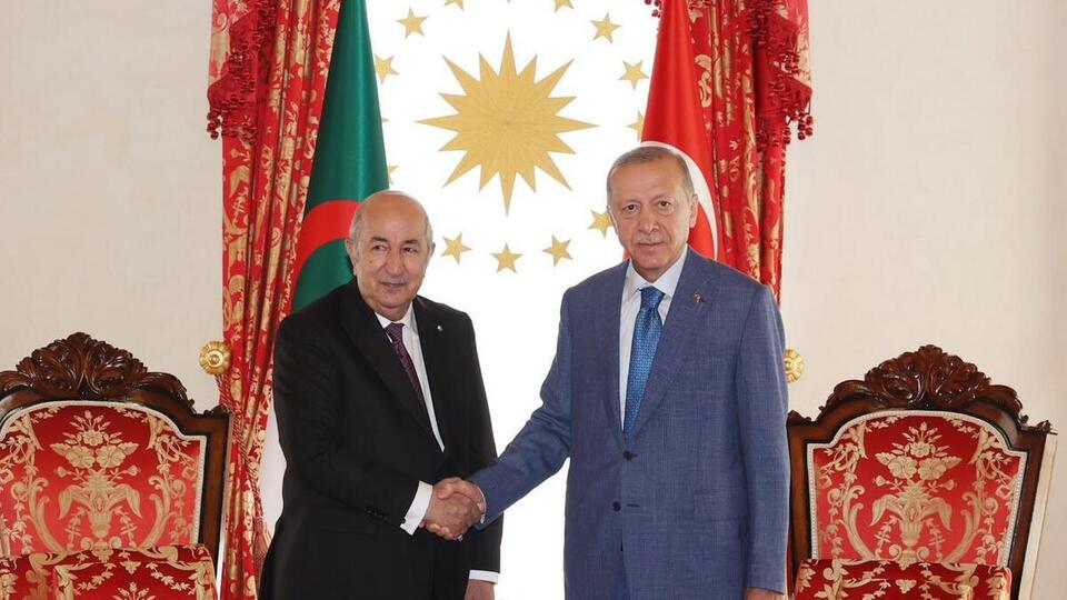 Cumhurbaşkanı Erdoğan, Cezayir Cumhurbaşkanı'nı kabul etti