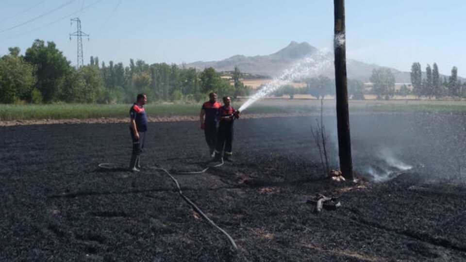 Yangında 40 dönümlük buğday tarlası zarar gördü