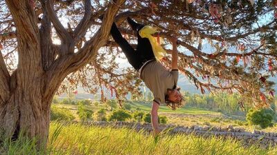 Profesörden ilginç eylem: Dilek ağacına kendini bağladı