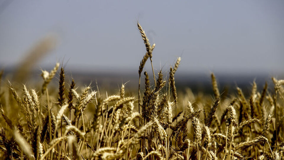 BM'den Rusya'ya 'tahıl' tepkisi