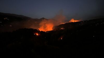 Kahramanmaraş'ta orman yangını çıktı