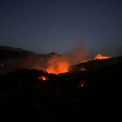 Kahramanmaraş'ta orman yangını çıktı