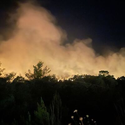 Antalya'da orman yangını