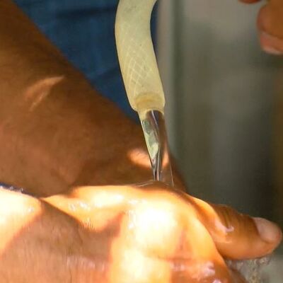 Mahallelinin balık kokulu su isyanı!