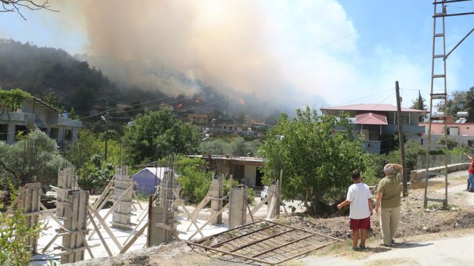 Hatay ve İzmir'de orman yangını çıktı