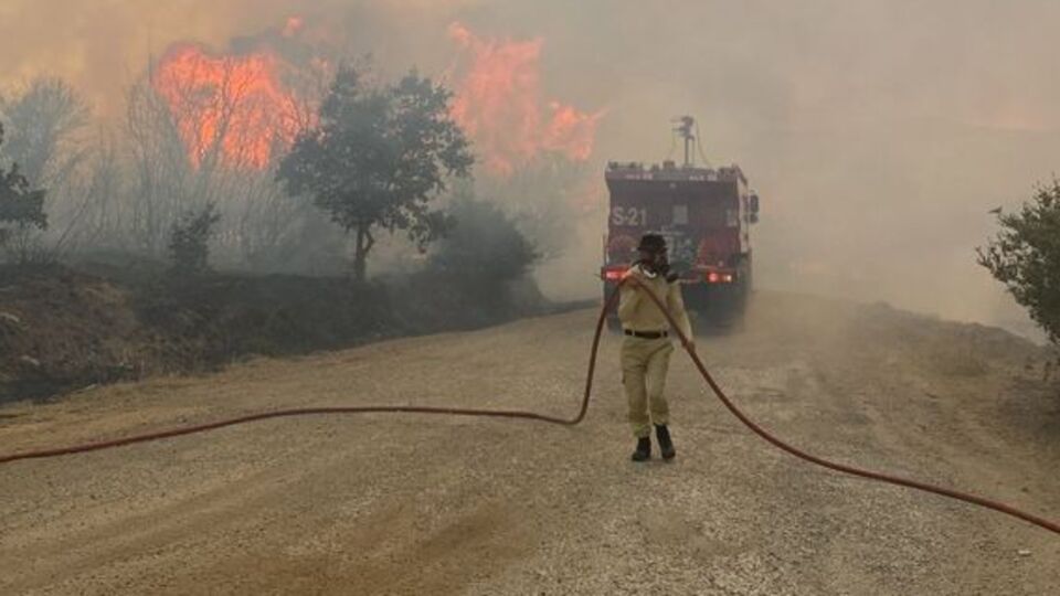 Çanakkale'de orman yangını çıktı