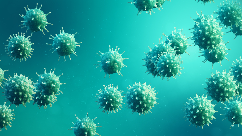 Dünyada 320 milyon kişinin hepatit B ve C hastası olduğu tahmin ediliyor