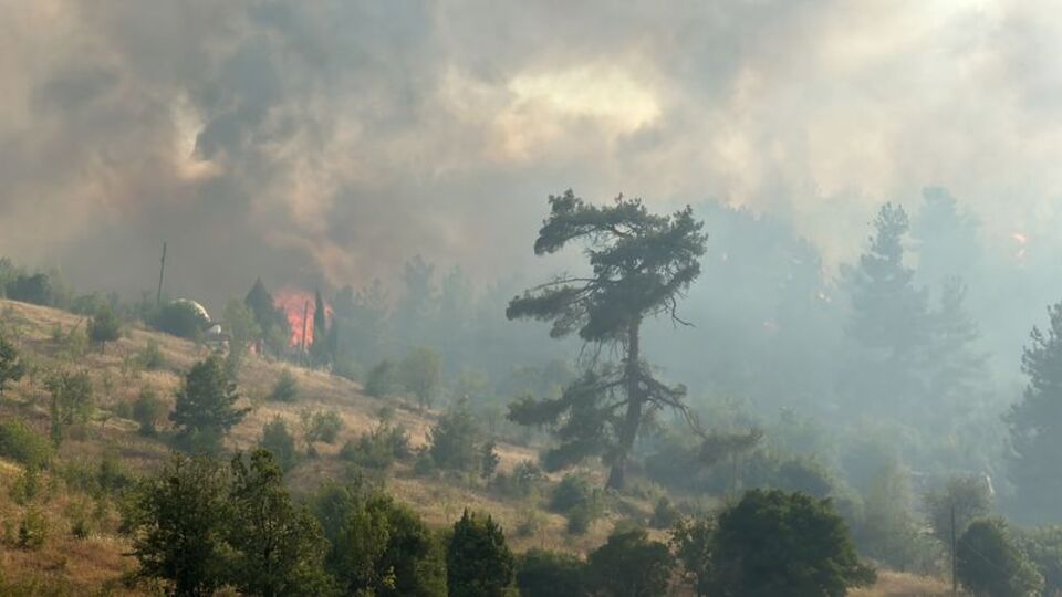 DSÖ: Orman yangınları nedeniyle 40 kişi öldü