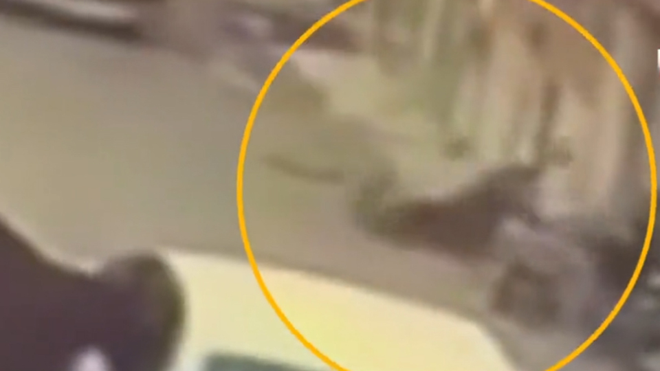 Gürültü kavgası: 2 ölü, 1 yaralı