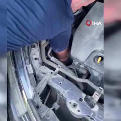 Aracın motor kısmında mahsur kalan kedi böyle kurtarıldı