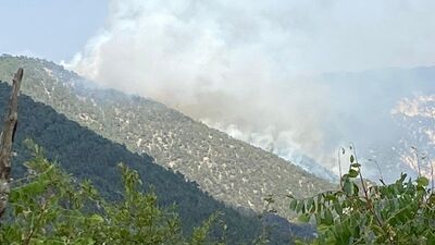 Bolu'da ormana düşen yıldırım yangın çıkardı