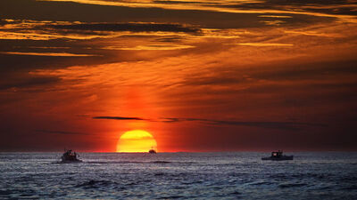 ABD, aşırı sıcaklarla mücadele için harekete geçti