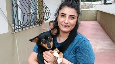 'Köpekleri besliyor' diye şiddet! Düşük yaptı