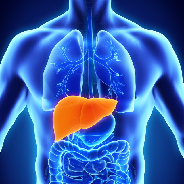 Karaciğer kanserinin yüzde 40-50'sinden sorumlu