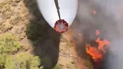 Muğla ve Bursa'da orman yangını!