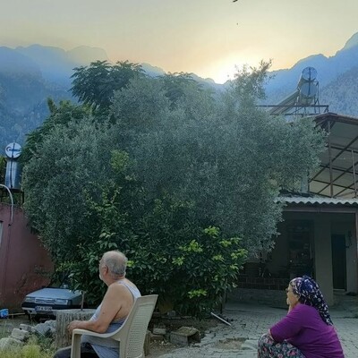 Kemer yangını 4'üncü gününde kontrol altında