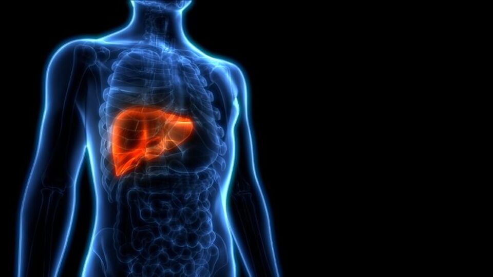 Türkiye'de hepatit görülme sıklığı azaldı