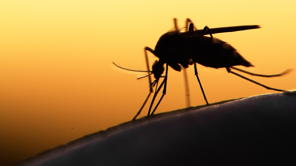 Deprem bölgesinde enfeksiyon riski!