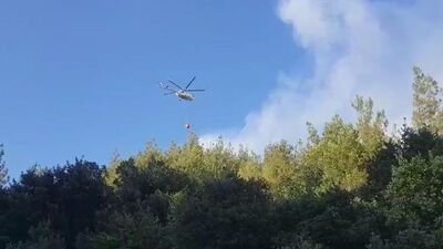 Sakarya'da orman yangını