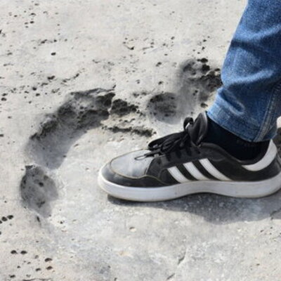 3 bin civarı ayak izi bulunuyor... İşte dinozor yaylası!