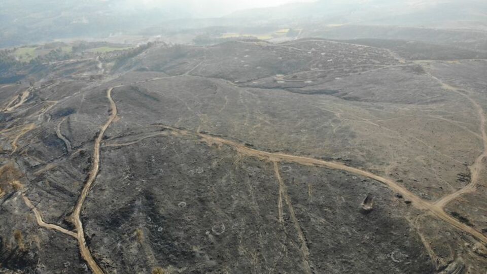 3 bin 500 futbol sahası yandı