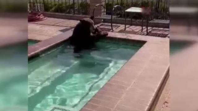 Serinlemek için jakuziye girdi
