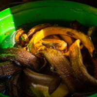 Hepimiz çöpe atıyorduk! Meğer şifa deposuymuş