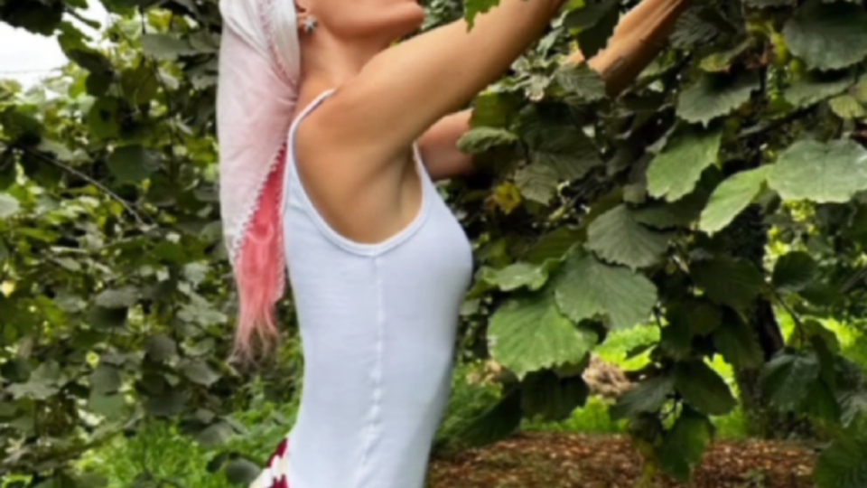 Yine Gülşen'lendi fındık dalları