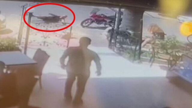 'Haki' ölümüyle ilgili 4 yıla kadar hapis istemi