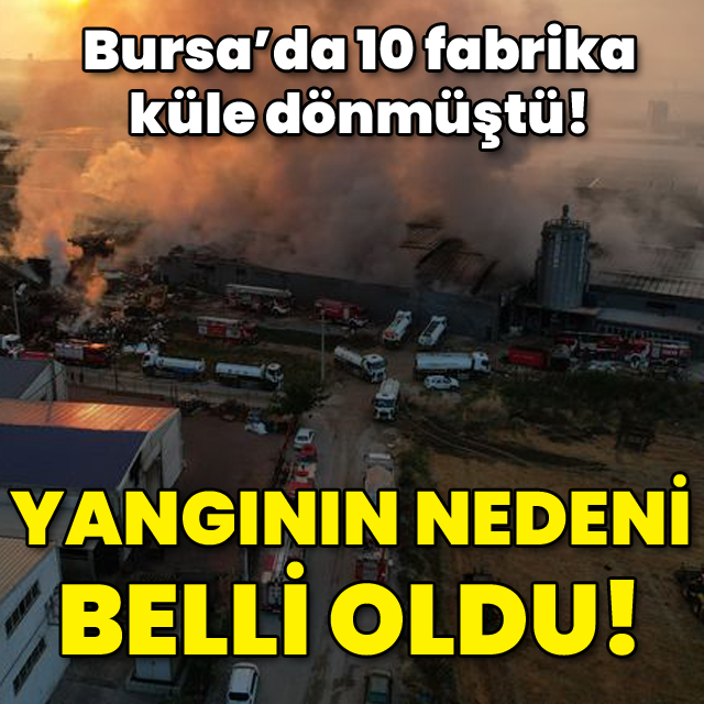 Bursa'da 10 fabrika küle dönmüştü! Yangının nedeni belli oldu!