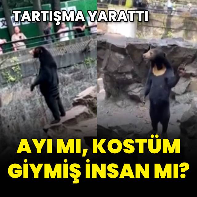 İnterneti ikiye ayırdı... Ayı mı, kostüm giymiş insan mı?