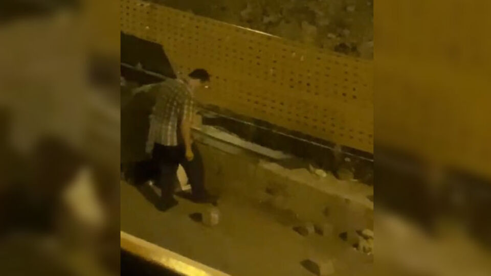 Biri bu adamı durdursun! Yavru kedileri ayağıyla eziyor!