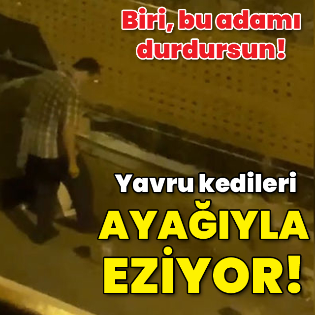 Biri bu adamı durdursun! Yavru kedileri ayağıyla eziyor!
