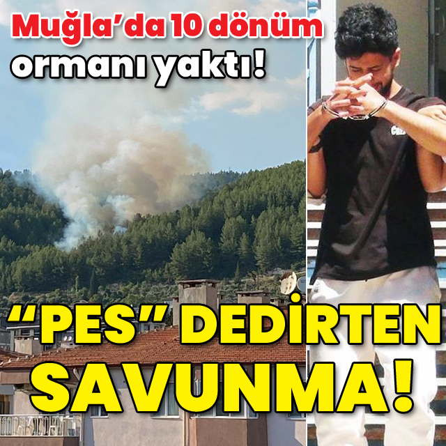 10 dönüm ormanı yaktı! "Pes" dedirten savunma!