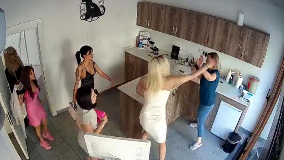 Kedisi öldü veterineri darp etti!