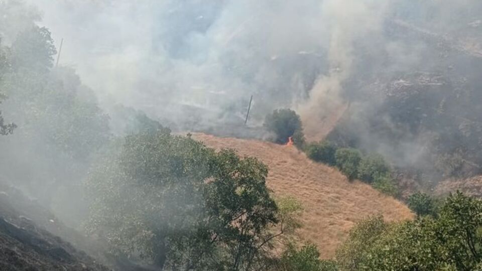 Malatya'da orman ve bahçelik alanda yangın