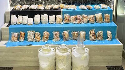 Peynir bidonlarından 9 kilo 317 gram esrar çıktı