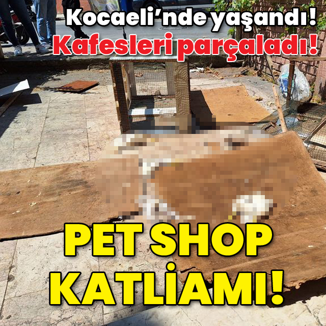 Kocaeli'nde tüyler ürperten olay! Pet shop katliamı!