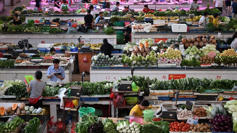 Küresel gıda fiyatları temmuzda yükseldi