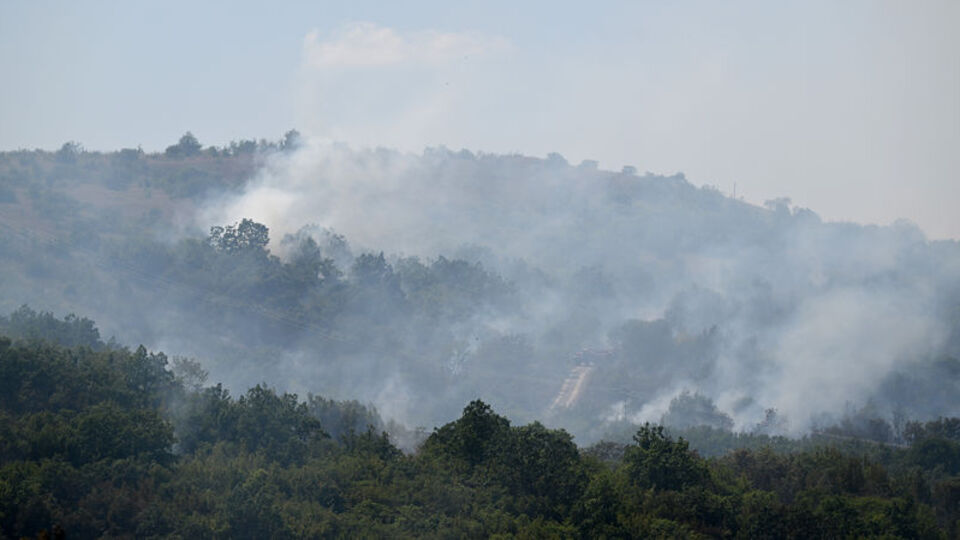 Edirne'de ormanlık alanda yangın çıktı