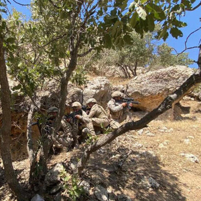 Mardin'de 3 terörist etkisiz hale getirildi