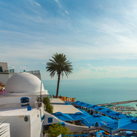 Tunus nerede, hangi kıtada yer alır?